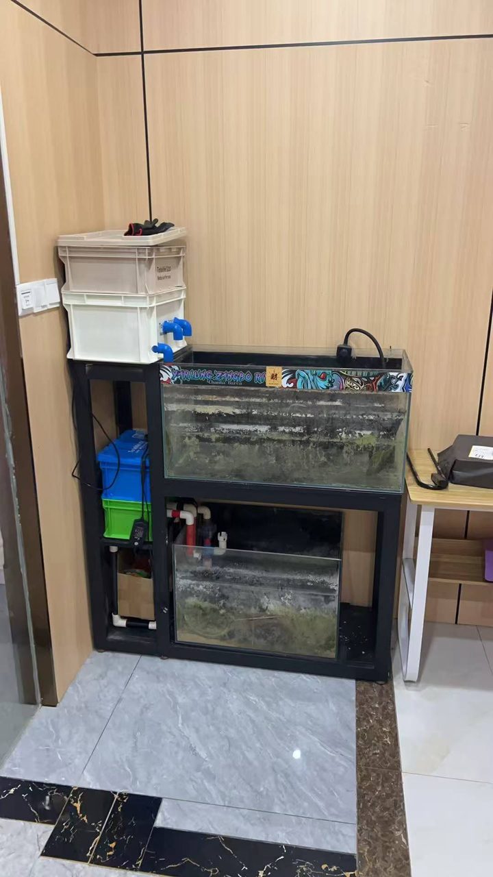 鱼缸免费赠送，自家闲置用不着了