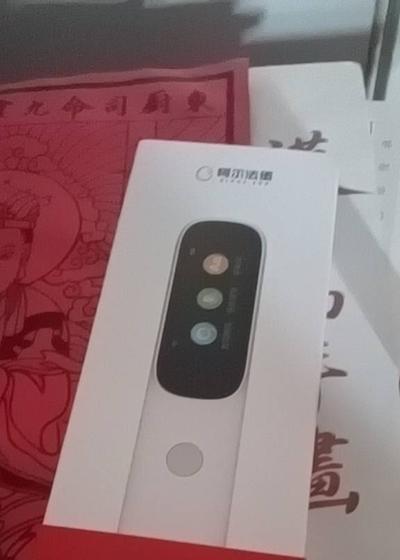 阿尔法蛋词典笔D1 九成新