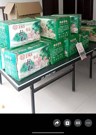 400斤纸皮核桃半价处理
