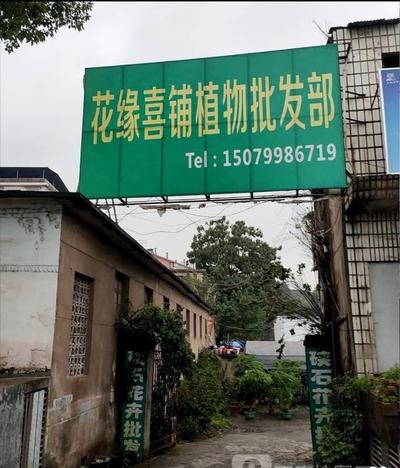 招绿化工人2名 营业员1名
