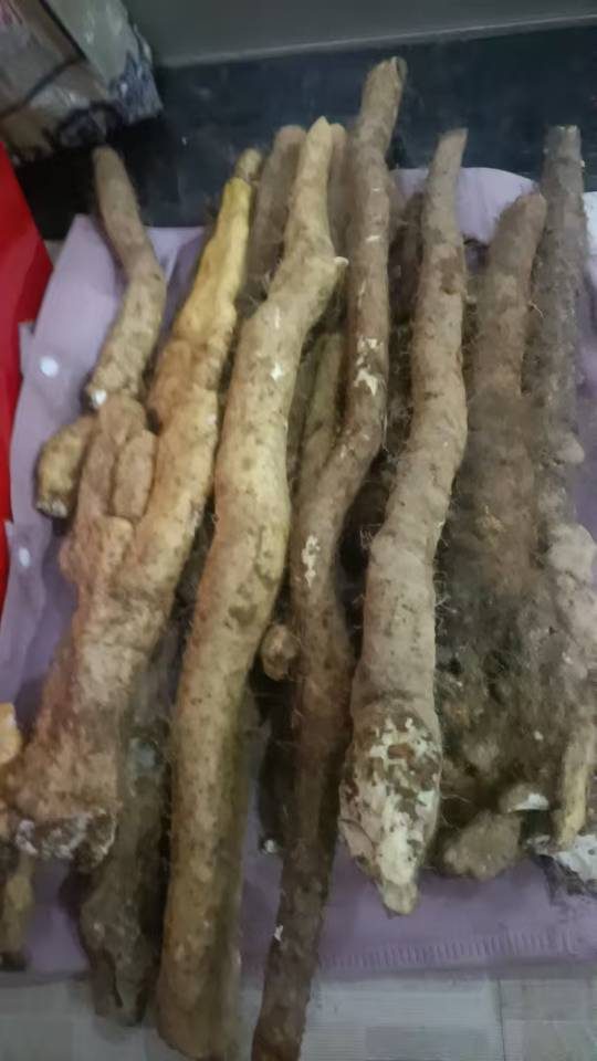 卖淮山